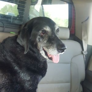 Meet your Posher, Janine